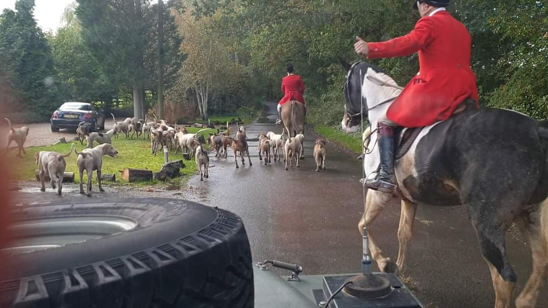 Guildford Hunt Saboteurs tweet media