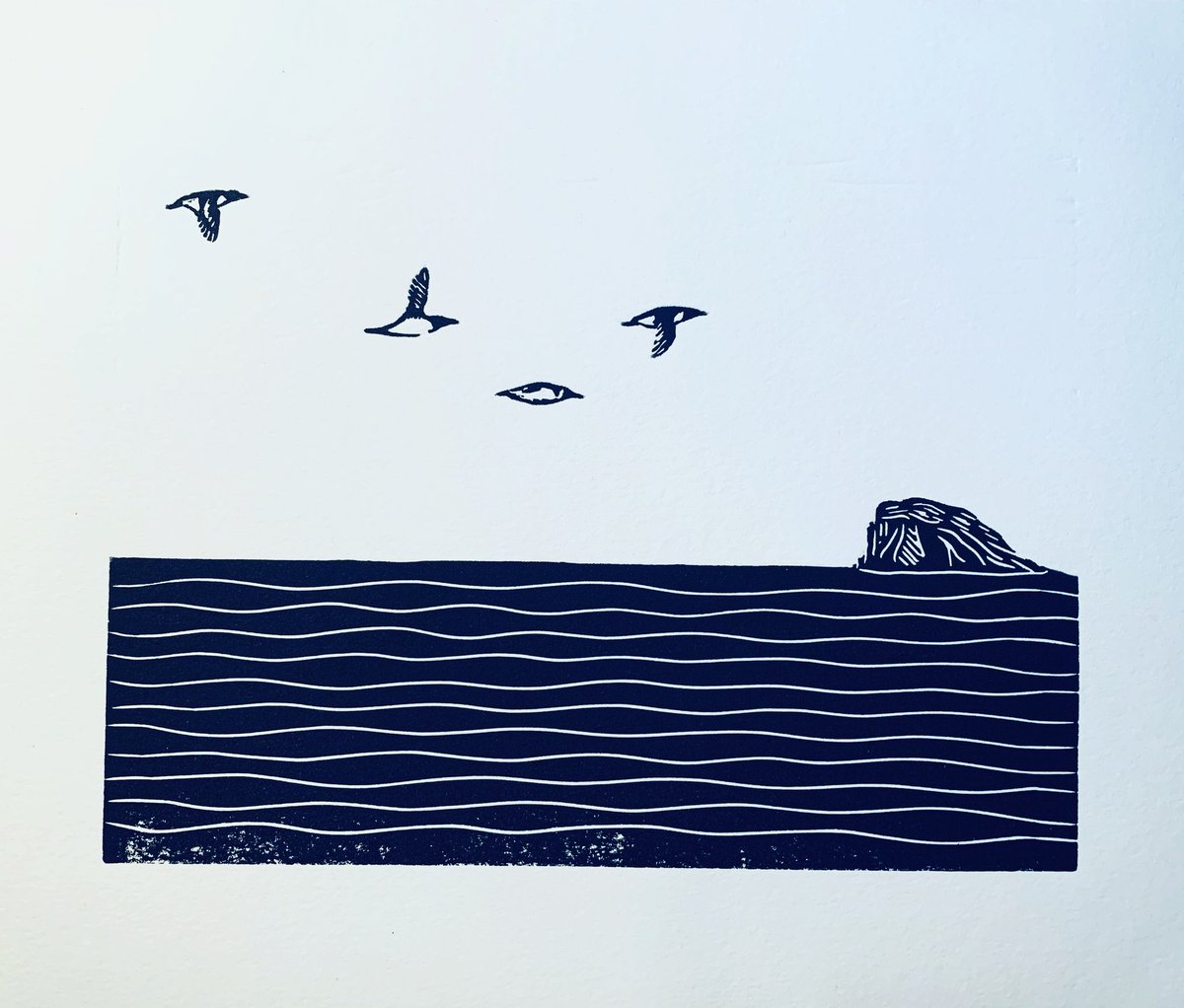 RockSpillers's tweet photo. ‘Turrs’
New linocut print on cotton paper.
This robust bird (Turr/Murre) lives in the frigid North Atlantic and is well-known along the coast of #Newfoundland
#turr #murre #birds #seabird https://t.co/Xj72WvnbED