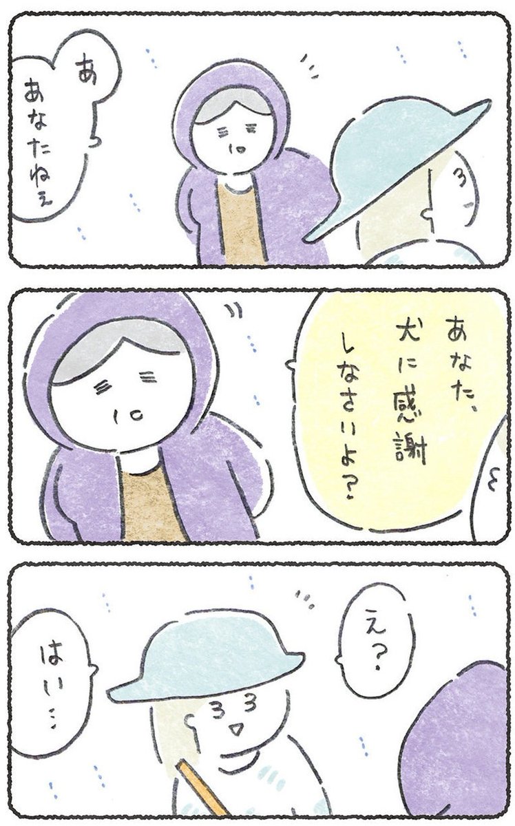 散歩してて会ったばーちゃん

(1/2)
#豆しばこつぶ 