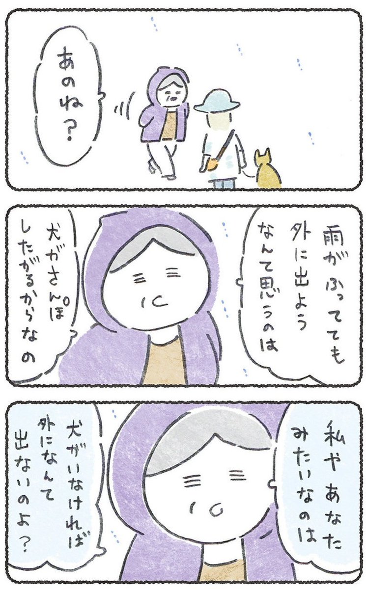 散歩してて会ったばーちゃん

(1/2)
#豆しばこつぶ 