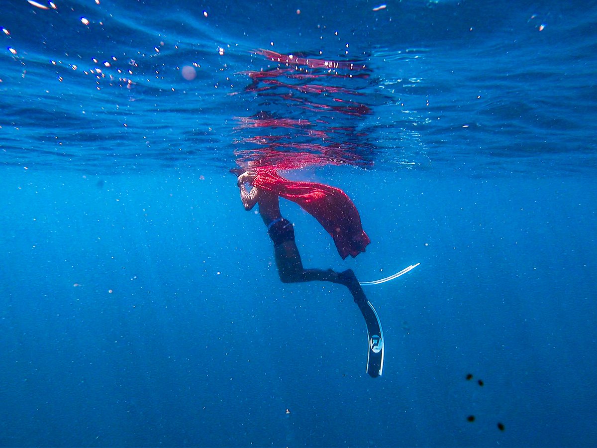 iammarkdizon's tweet photo. #Halloween dive with @oceanlimitsph
Thank you coach @rollyben sa kapa!
#oceanlimitsph #freedive #freediver #superhero #superman #halloween2021 #costume https://t.co/KPz1SRaXlO
