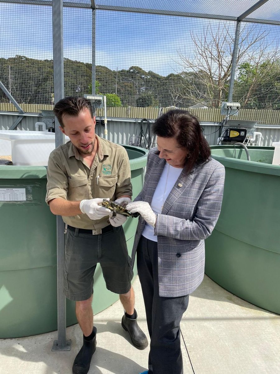 Concetta Fierravanti-Wells tweet media