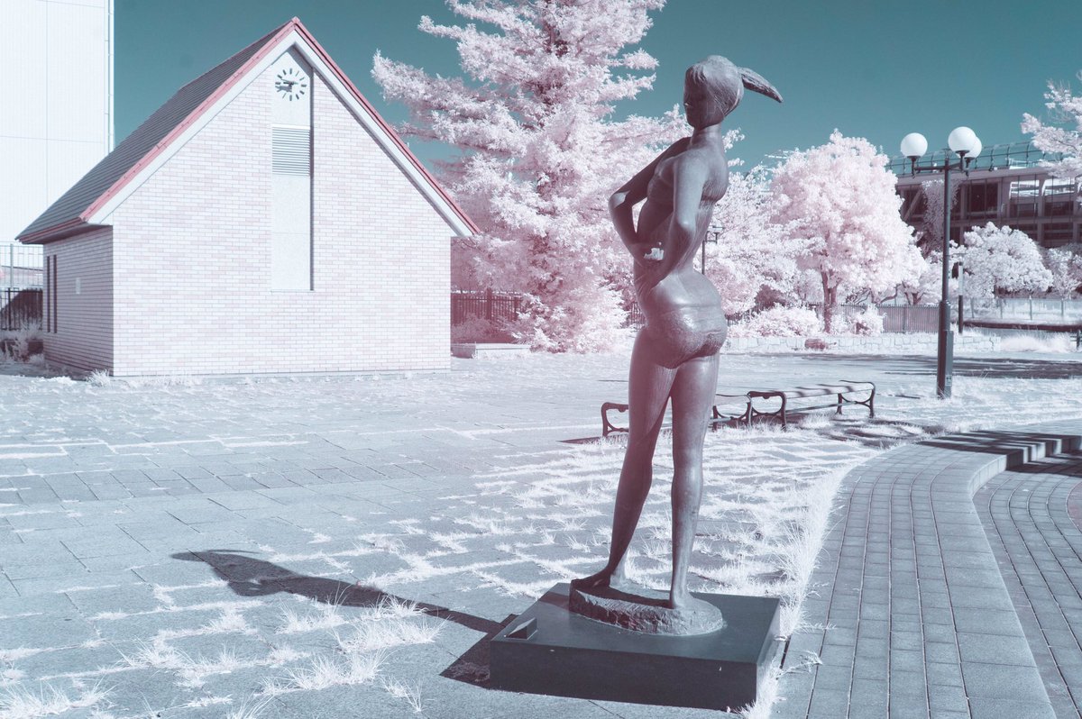 mikiowatanabe6's tweet image. Infrared photography