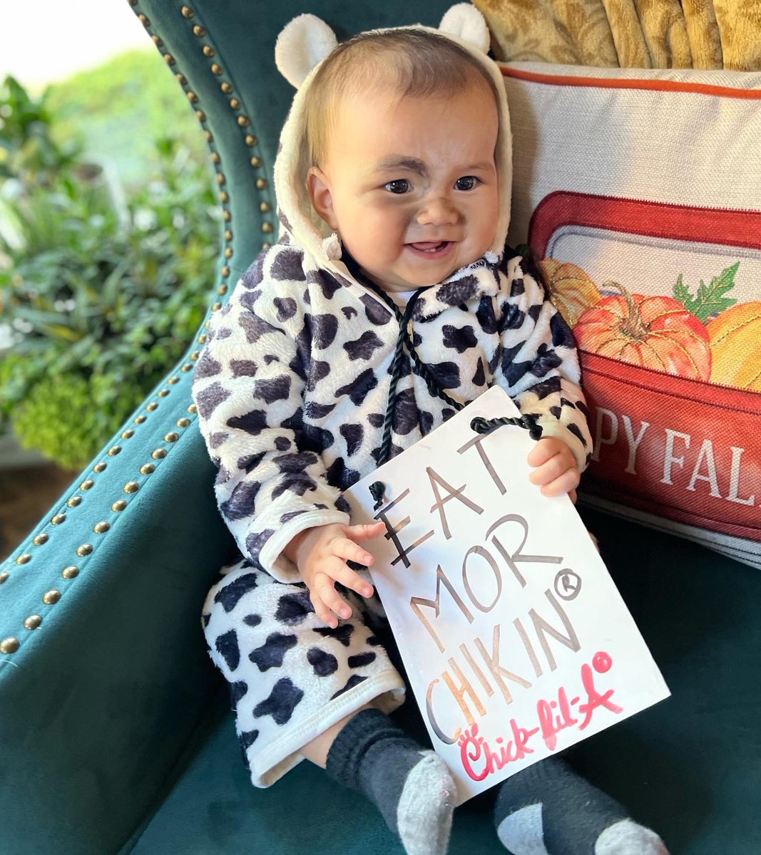 V_AlwaysNguyens's tweet photo. In honor of Atlas’s favorite fast food joint @chickfila 🐔🐮 @gotmilk 

🐮 #cowVSchicken 🐔
@atlas__world @aura__the__explorer

#thelittlethings #justbecause #eatmorchikin #gotmilk  #MOO #happyhalloweenie #halloween2021 #halloweencostume 🎃 #myboos 👻 https://t.co/pULfPxQlx4