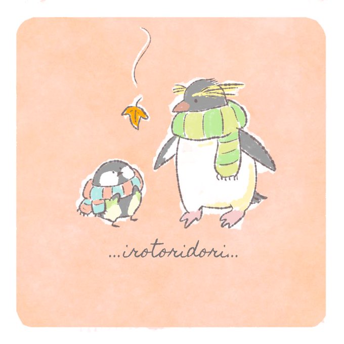 キタイワトビペンギンのtwitterイラスト検索結果