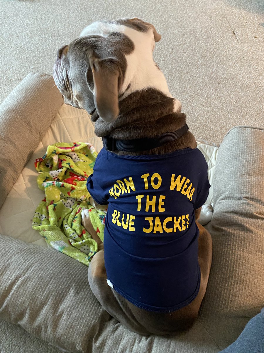 ElmwoodFFA's tweet photo. Does this make Winston an official Elmwood FFA Member?! 😂💙💛 #ffajacket #dogsofFFA https://t.co/nooHksObNf