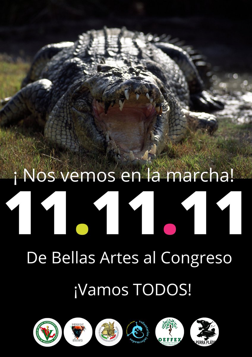 VoluntariosI's tweet photo. #yoSImeINFORMO #laMarchaVa salimos el 11.11.11 porque no podemos permitir que se amenace el 20% de la superficie de nuestro territorio. El aprovechamiento es la base de la conservación. #SIalZOO 
#SIalaCRIANZA 
#SIalaVENTA 
#SIalaTENENCIA
#yoSImeINFORMO
#BienestarAnimalConCiencia https://t.co/koezp8bAXP