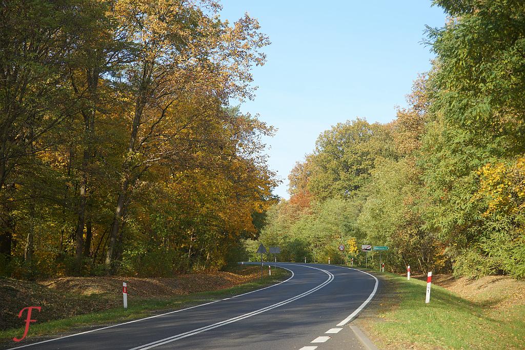 femoree1's tweet photo. Destination Reached! (31-10-2021)
#finaldestination #Poland  #APictureADay #PictureOfTheDay #FINALPIECE #RoadTripGermany https://t.co/WCqVtwMpGc