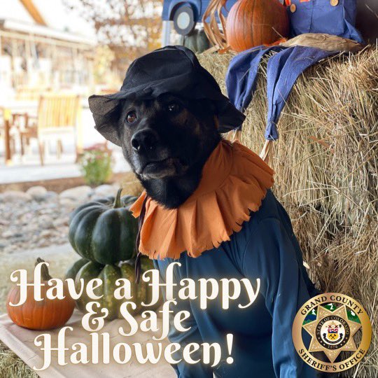GrandCoSheriff's tweet photo. ๐ On behalf of all of us at the Grand County Sheriff's Office, we wish you a very happy and safe Halloween! ๐ฆ
#Halloween #GrandCounty #GrandCountyColorado #Kremmling #Parshall #HotSulphurSprings #Granby #GrandLake #Tabernash #Fraser #WinterPark #PoliceK9 https://t.co/K8lTvYpoLk
