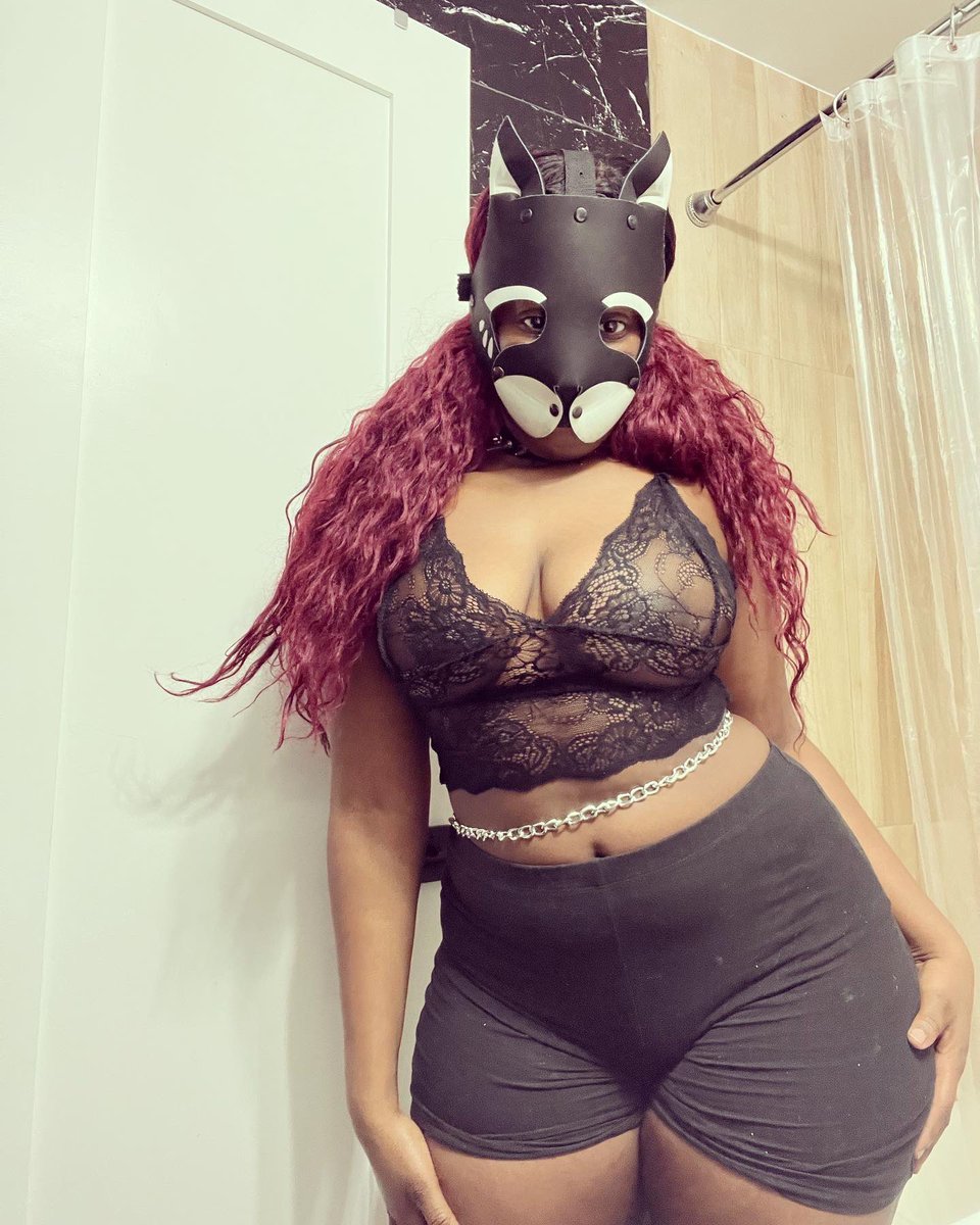 Panthypanther's tweet photo. Happy Halloween spooks. Your Favorite Black cat as arrived 🐈‍⬛✨

#humanpetplay #petplay #kittenplay https://t.co/xFvJE58AMI