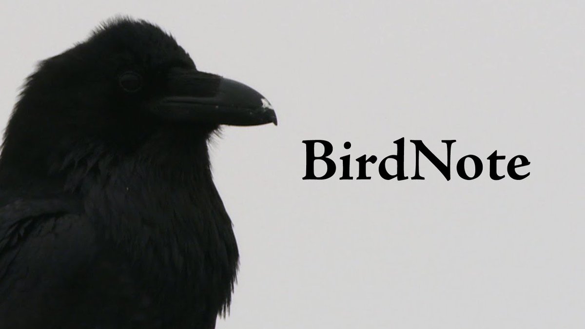 BirdNote tweet media