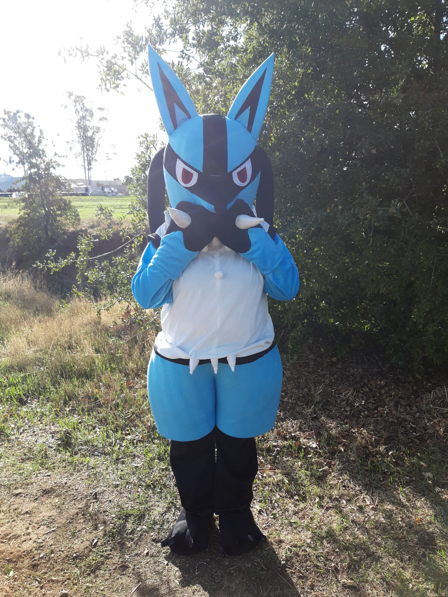 2 pic. Is that...a wild Lucario?! https://t.co/DeBnhYW5yL