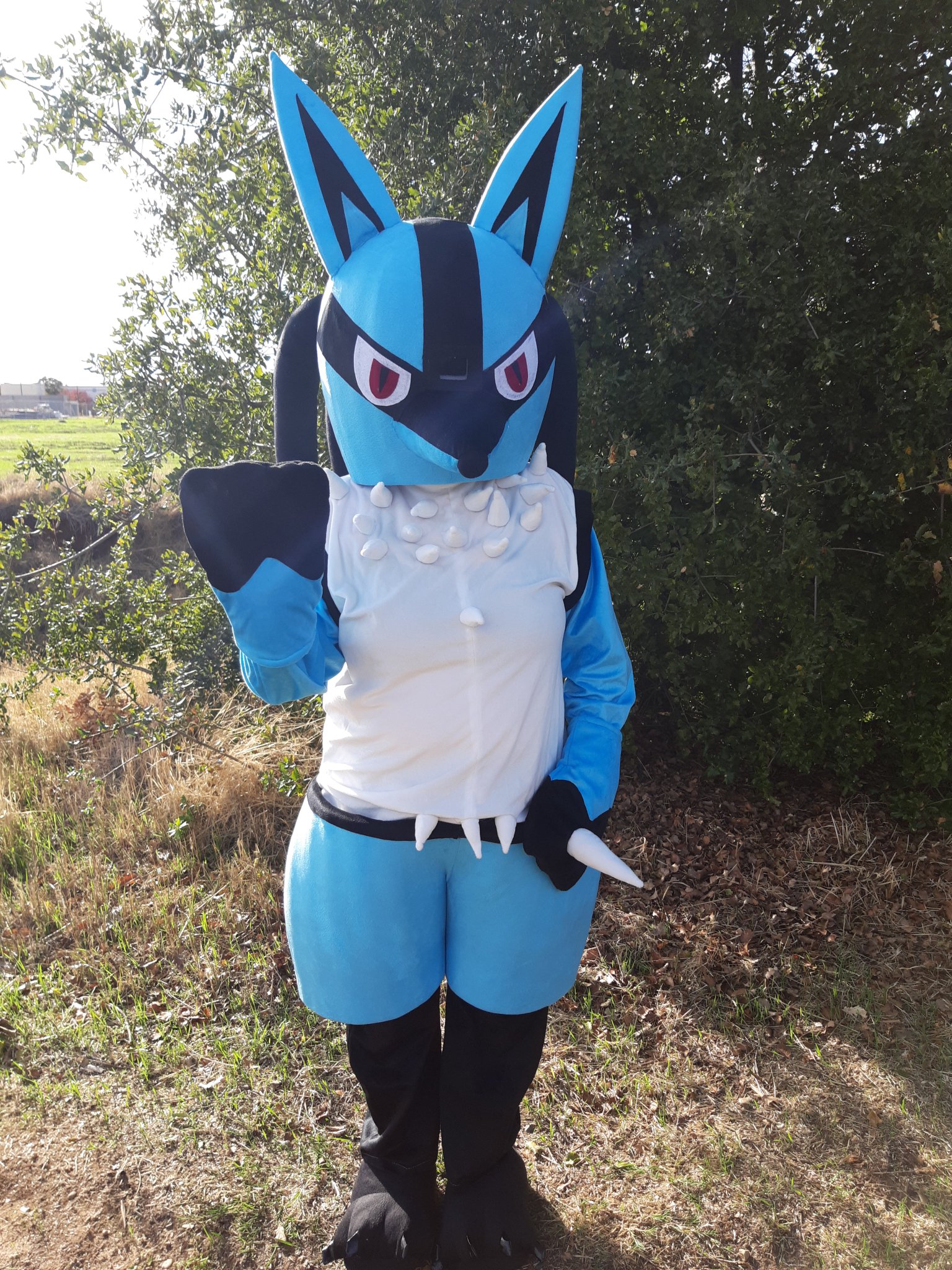 3 pic. Is that...a wild Lucario?! https://t.co/DeBnhYW5yL