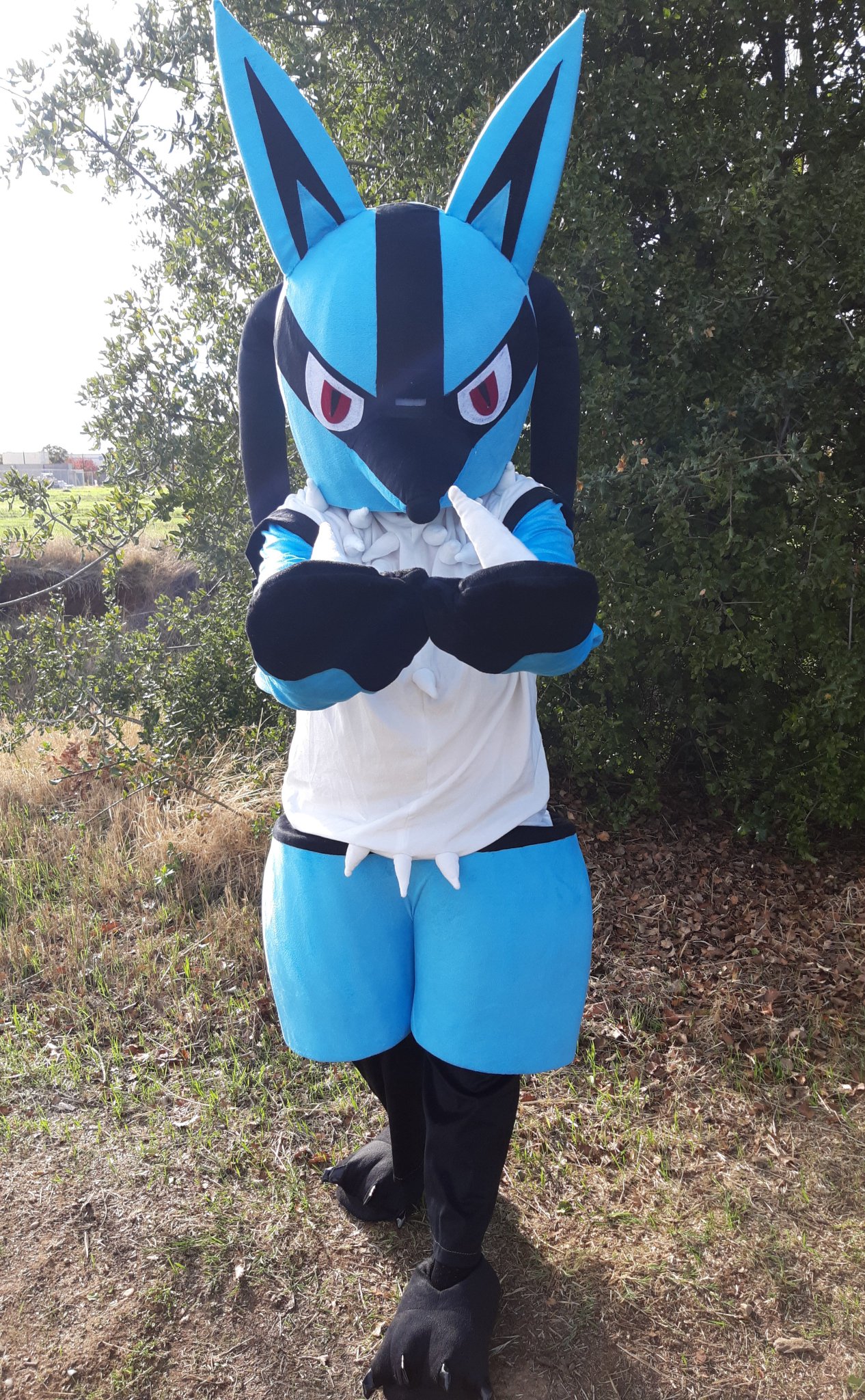 4 pic. Is that...a wild Lucario?! https://t.co/DeBnhYW5yL