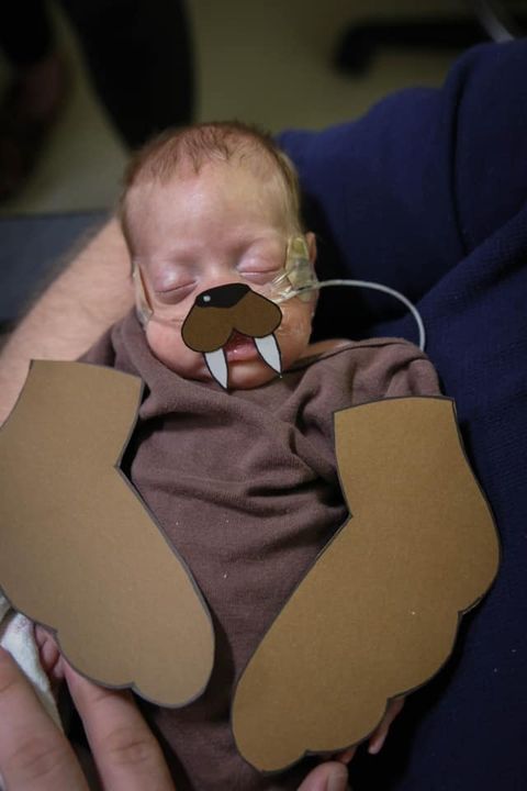 MercyOklahoma's tweet photo. Only a few days old, these preemies at #MercyOKC are already Halloween costume pros. They’re so sweet it’s spooky! #HappyHalloween #MercyKids https://t.co/4WjaVX6JUI