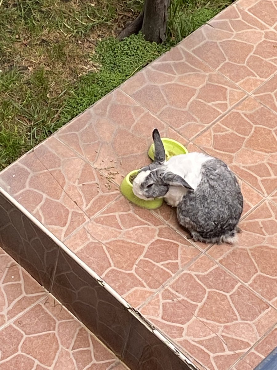 xiina26's tweet photo. Manchi comiendo, ese es el tweet https://t.co/2dpGGQCBbS