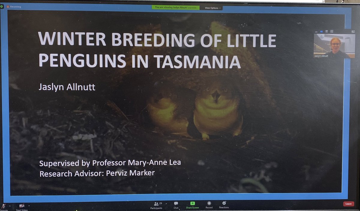 katyabandow's tweet photo. So proud of @Jasallnutt for completing her honours with @IMASUTAS. This amazing woman has such a bright future ahead of her 💛🐧 https://t.co/aQkaGHlbtb