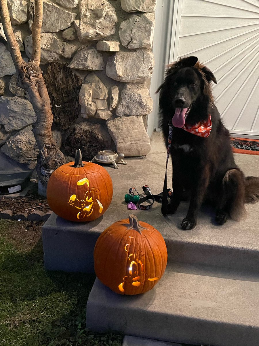 Tony Denison tweet media