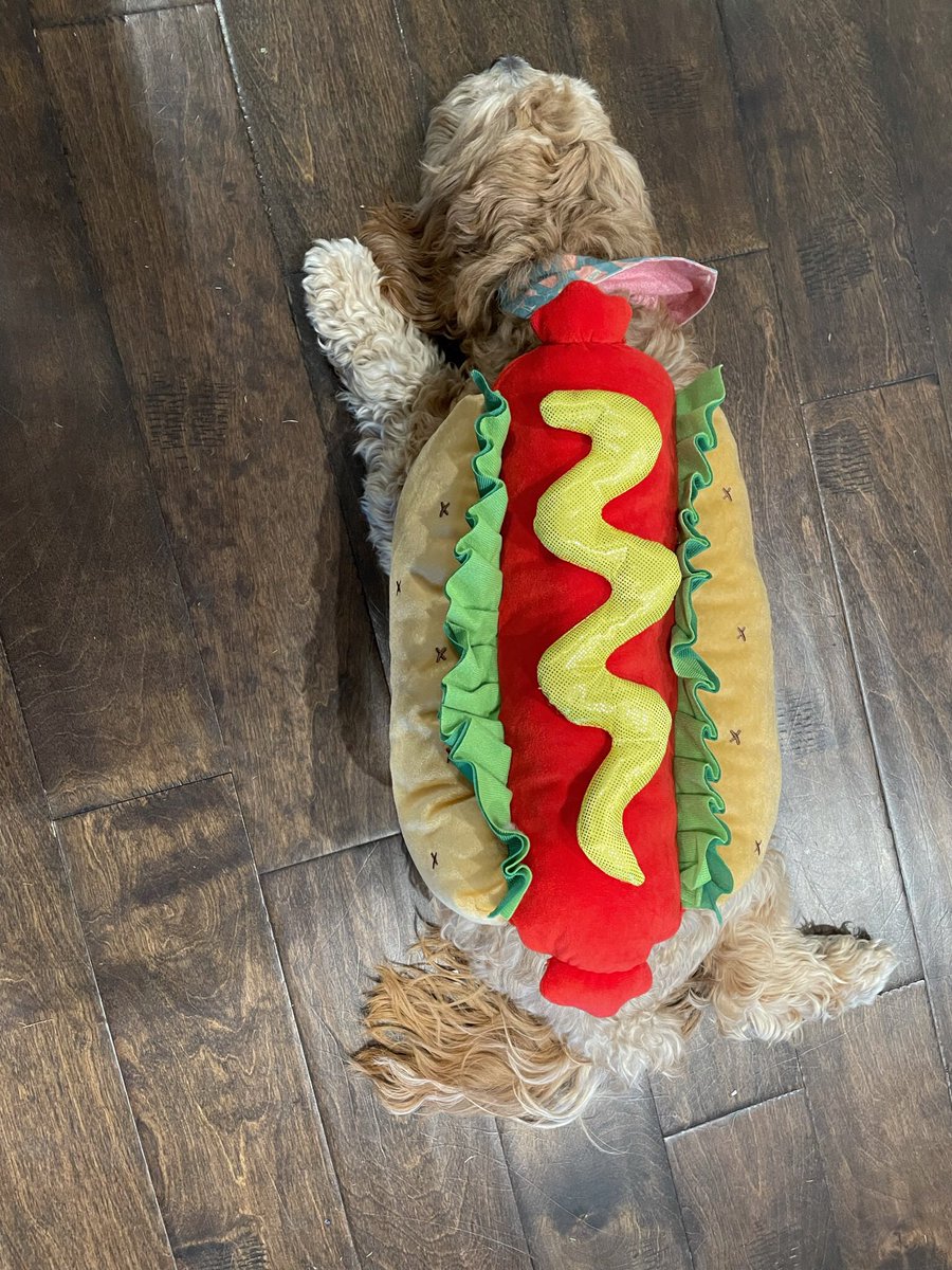 Nance is MUSTARD!!! So, our family is a HOT DOG (Maisy) with MUSTARD (Nance) and KETCHUP (me)!!!! HAPPY HALLOWEEN, Y’ALL!!! #Halloween #Halloween2021 #Trick-Or-Treat