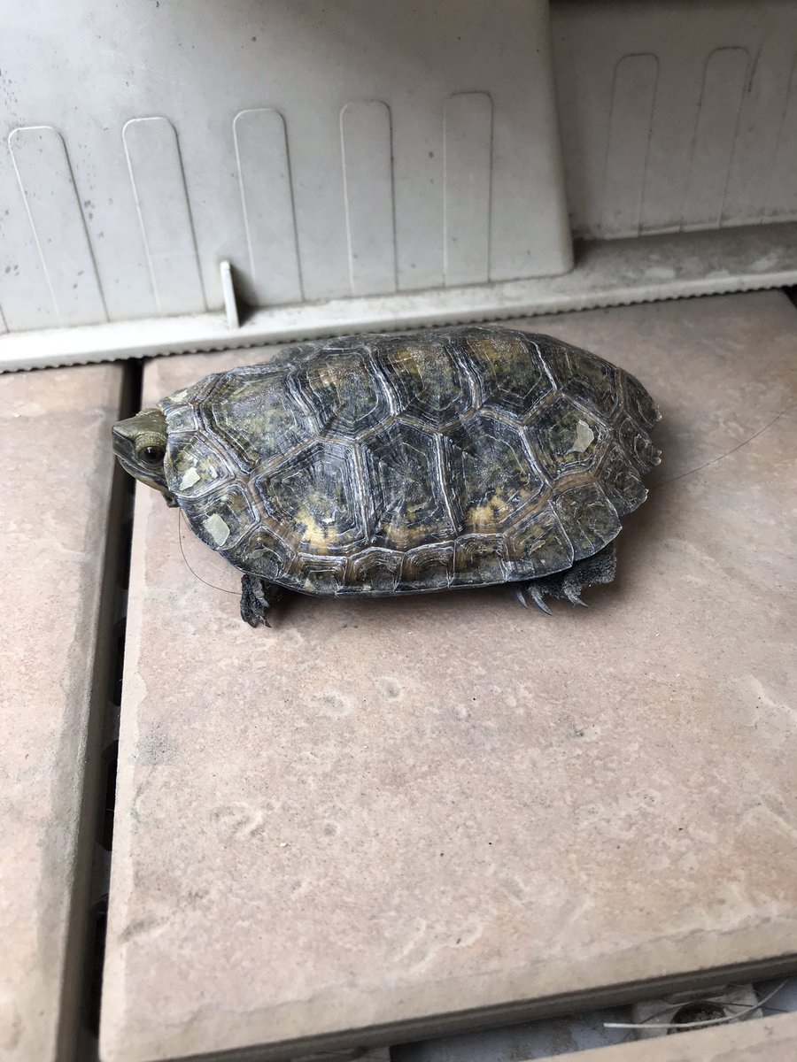 Hirotake Hirotak Twitter Hirotake Hirotak Twitter