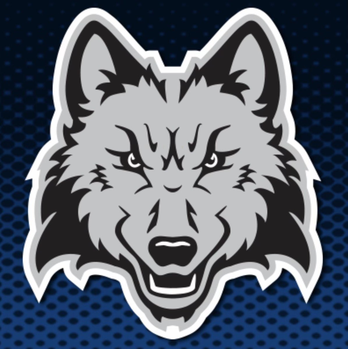 I’m proud to announce my commitment to Madison College to further my academic and baseball career. Thank you to Coach Davenport for this opportunity. Thank you to my family, coaches, teammates and friends for supporting me throughout this process. <a href="/mcpackbaseball/">WolfPack Baseball</a> <a href="/hittersbaseba11/">Hitters Baseball</a>