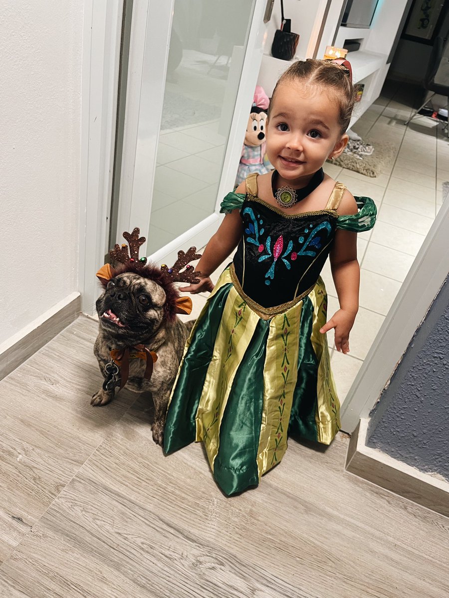 042800_'s tweet photo. Princesa Anna de Arendelle junto a Sven mascota leal de Kristoff 👑🦌❄️🤍 https://t.co/WUNaovEDHM