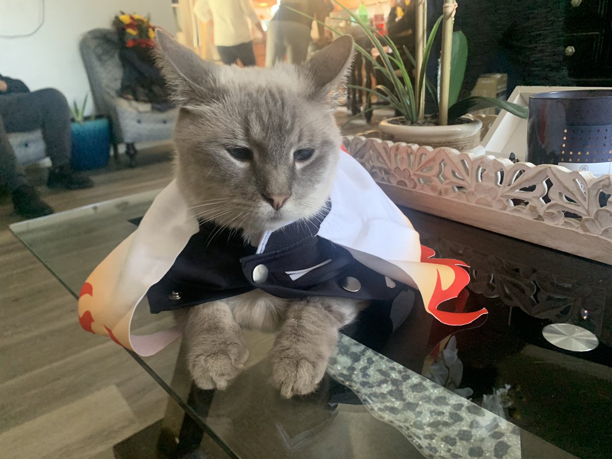 rowtler's tweet photo. Little mans Halloween costume https://t.co/S5jF3D3iUH