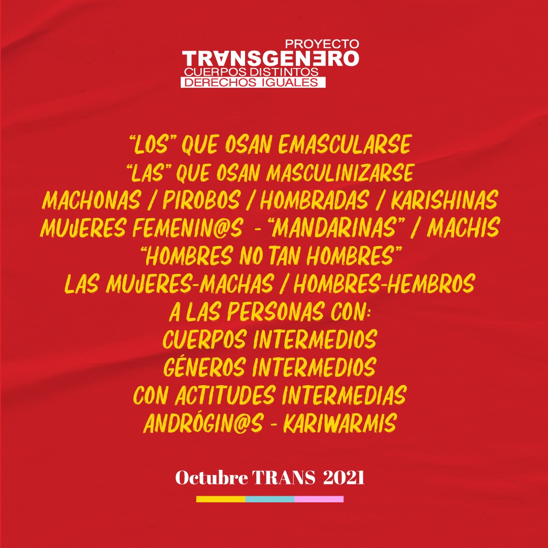 Que no se te acabe octubre sin descargar el Manifiesto Ecuatoriano del Octubre Trans. 
:
¡Link en bio!
:
#OctubreTrans #CuerposDistintosDerechosIguales