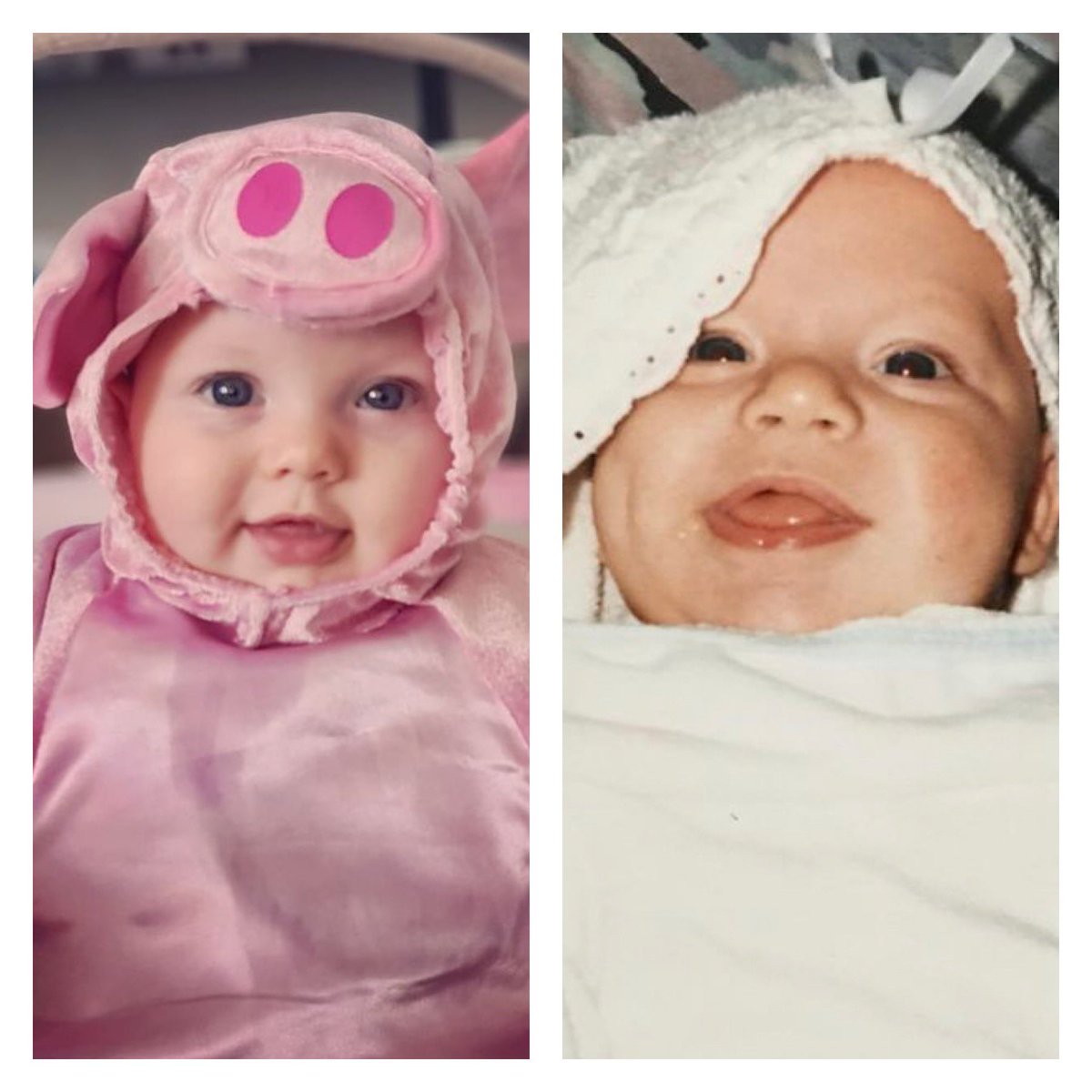 Zhuri ❤️’s Tayvis 🏳️🌈🐾 tweet media