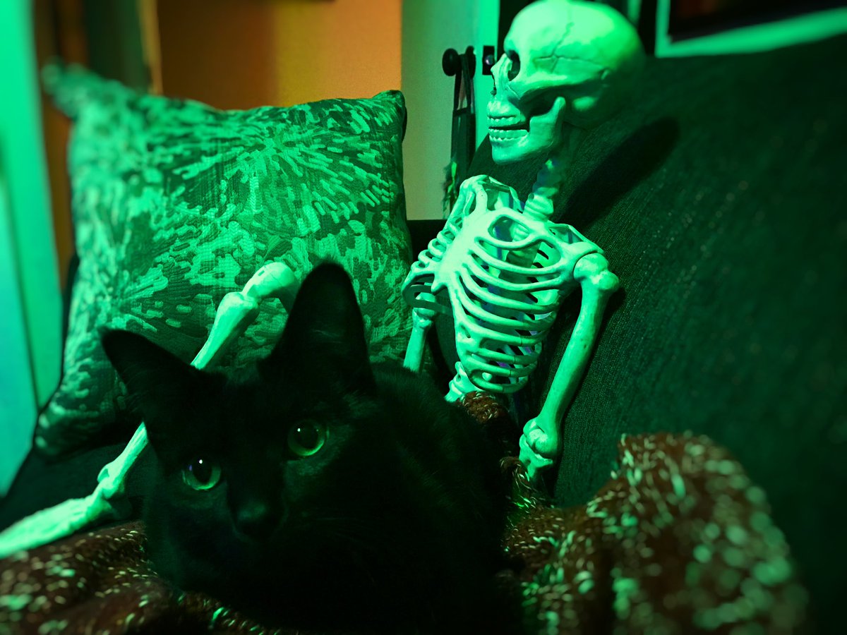 Happy Halloween