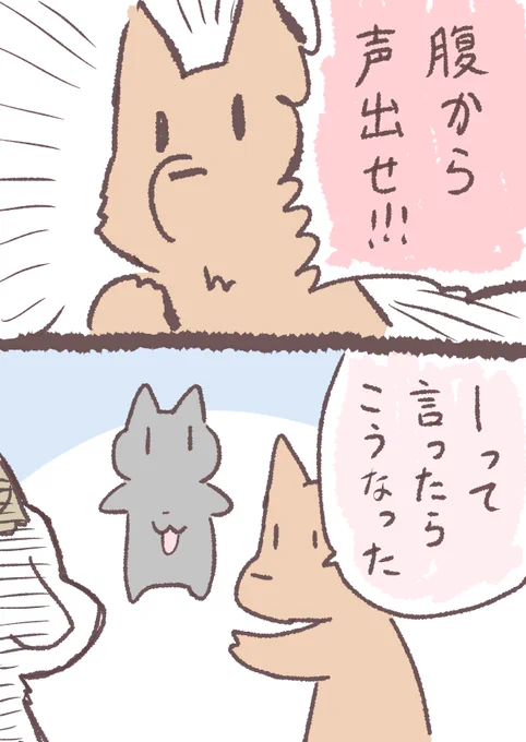 直らない 