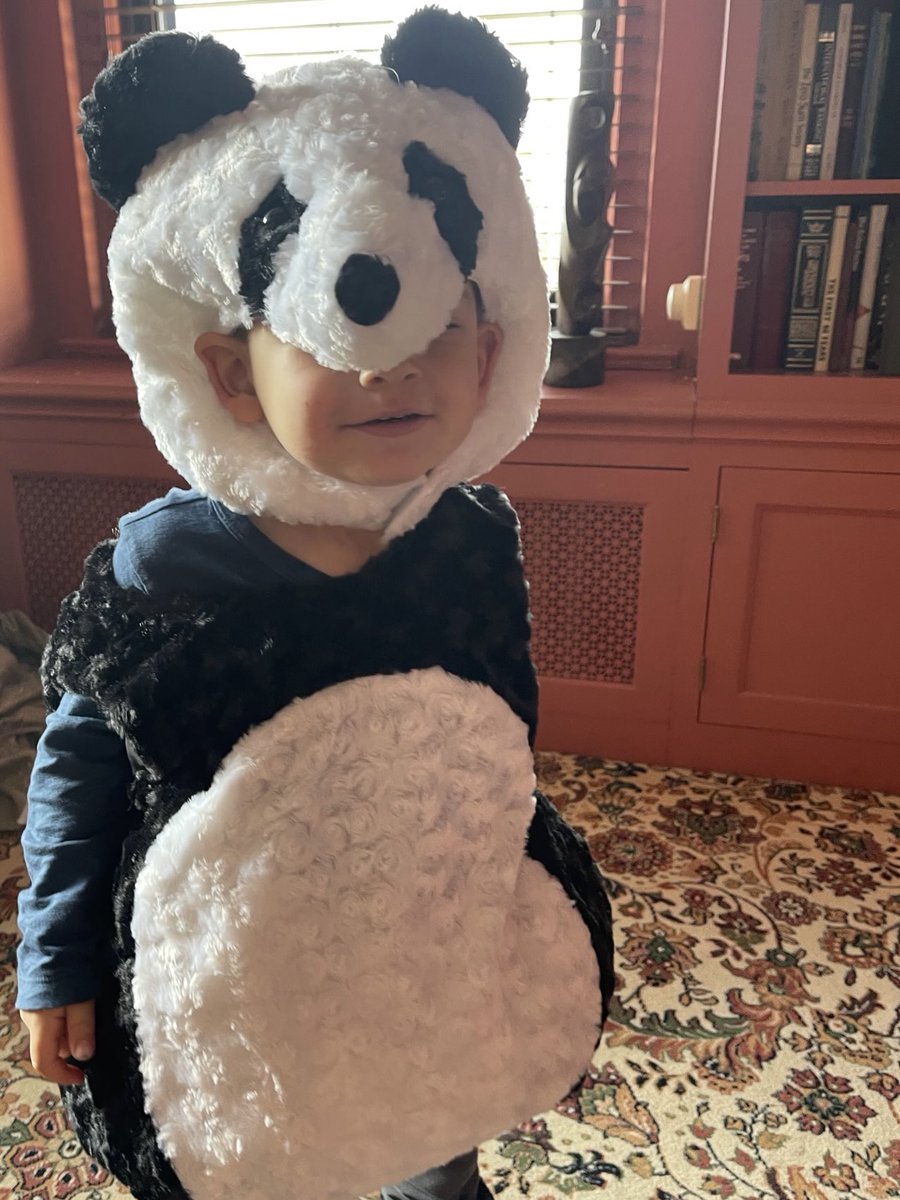 SenSchumer's tweet photo. Happy Halloween from Noah the Panda! https://t.co/87JF5ORW3D