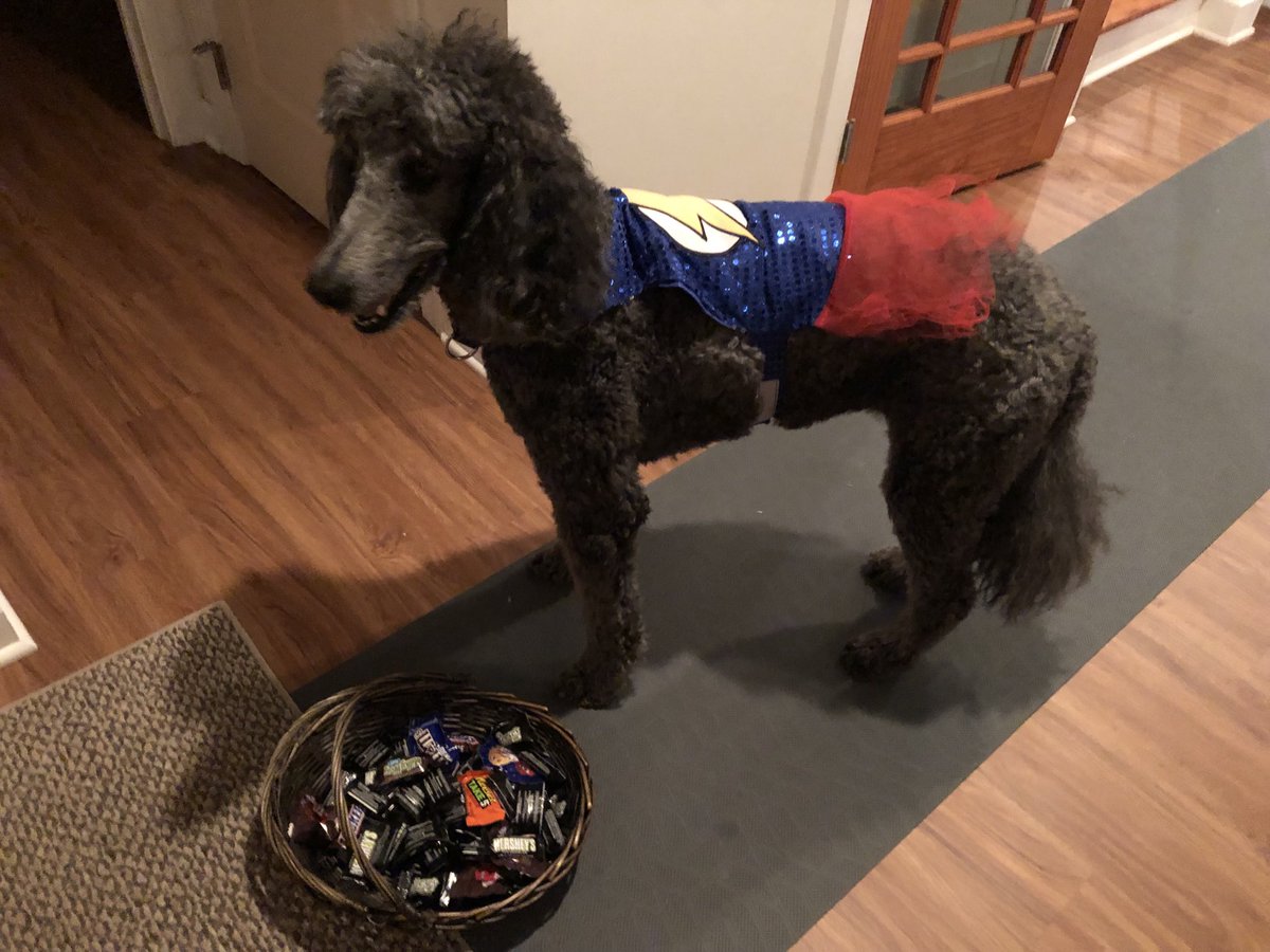 Love being a Super Hero;
love Howloween!