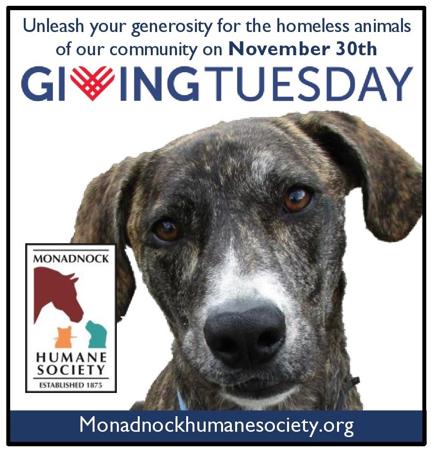 Save the date! November 30th is Giving Tuesday.  We hope you'll support MHS during this international day of giving!