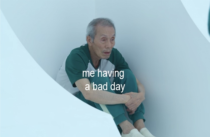 PigsAndPlans's tweet image. 