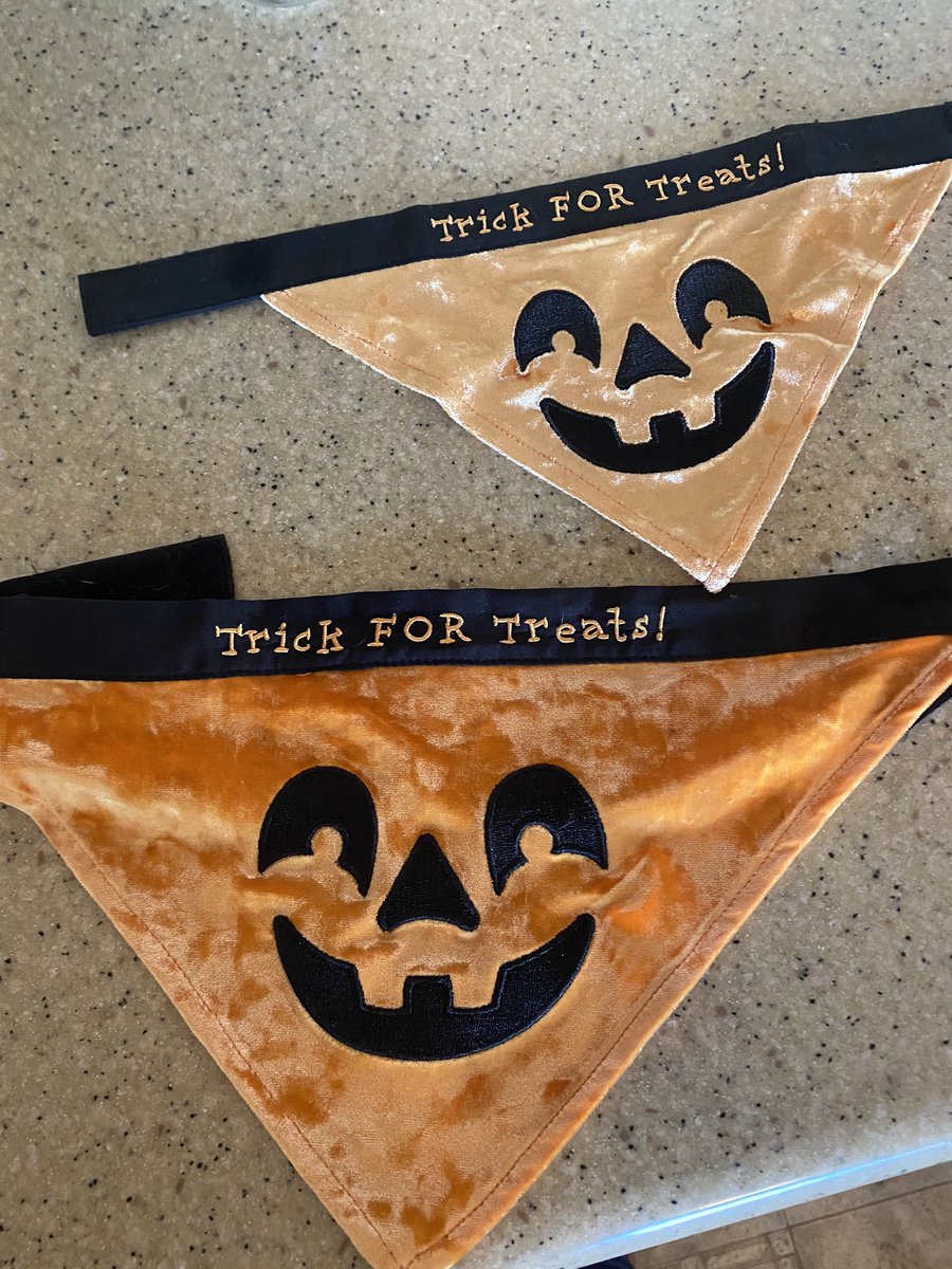 Happy Halloween everyone! We got doggie cookies. Mama showed our bandanas cause she couldn’t get a good picture with them on. 🎃👻.  Cpls. Hahn and Humphrey. #ZSHQ