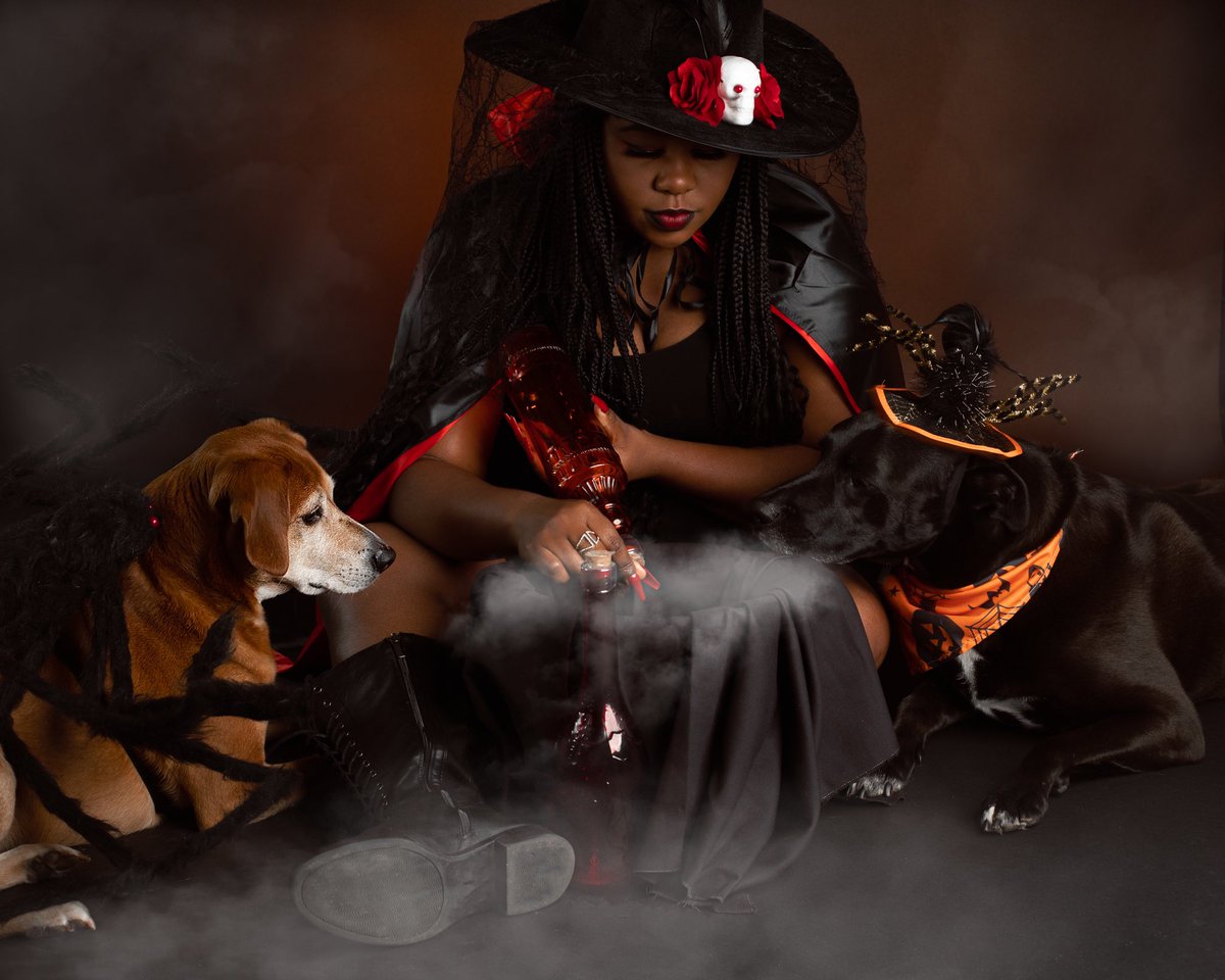 _Alex_Aperture_'s tweet photo. Spooky season…🎃📸

Book a session and let’s create something special
Booking info ⬇️⬇️⬇️
https://t.co/8hxilNMndc

#portraits #portraitphotography
#beautyphotography #beautyportraits
#halloween #halloween2021 #doglovers #halloweenportraits #studioportrait #inhomestudio https://t.co/ytguyH68QA