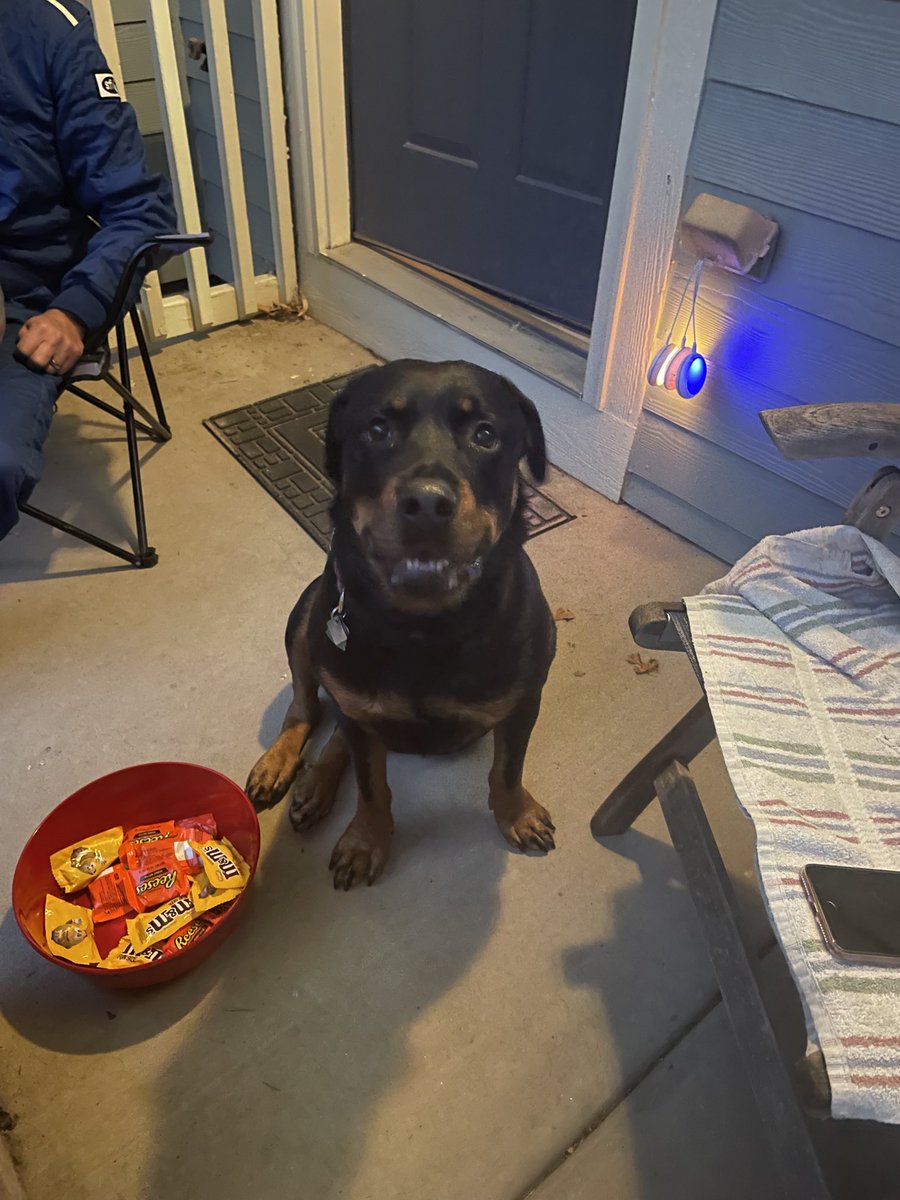 Mollie guarding the candy. Happy Halloween!