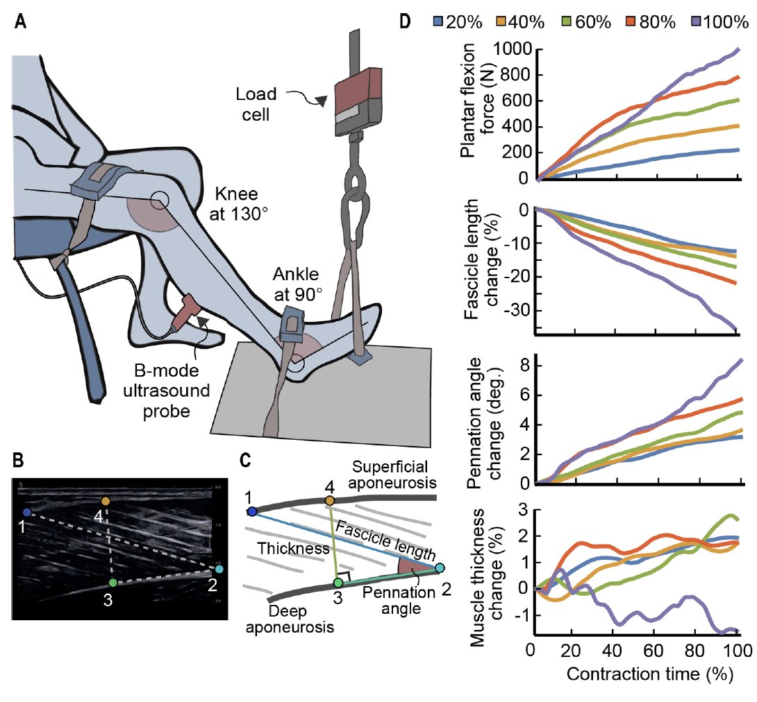 Taylor Dick tweet media