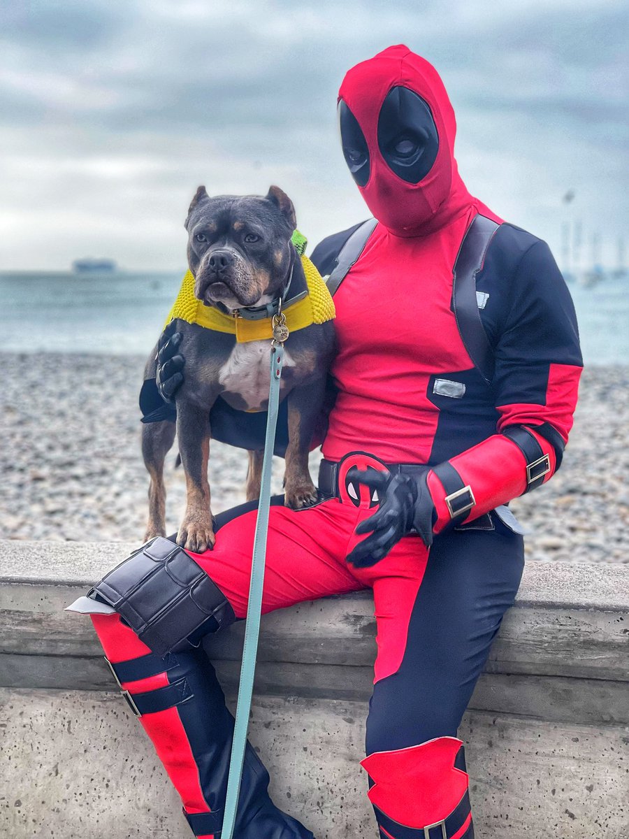 Andrés Wiese tweet media