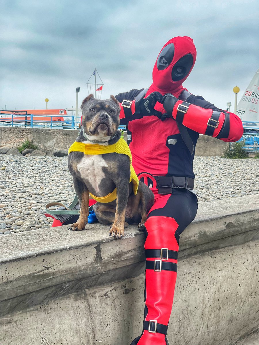 Andrés Wiese tweet media