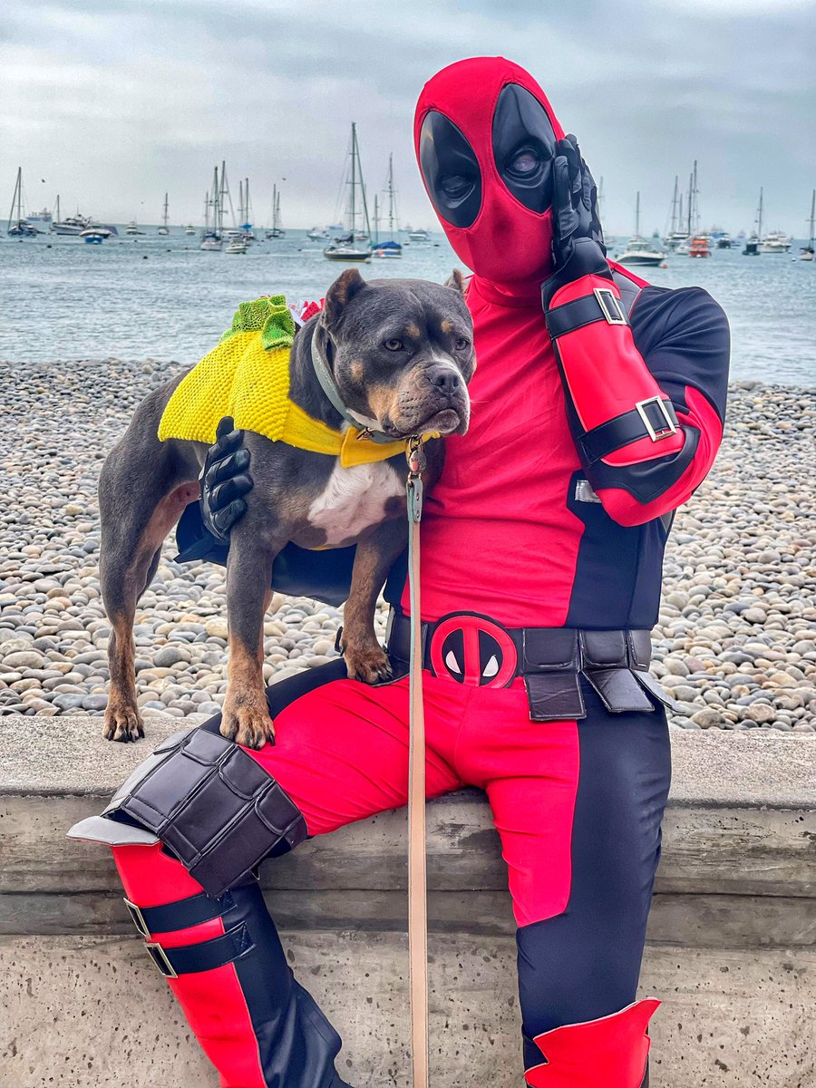 Tamo’ redi 🎃👻🖤

#Halloween #Deadpool #TaquitoDeMenta🌮