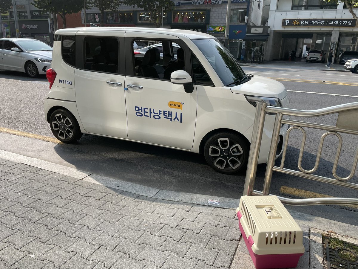 최유진 tweet media