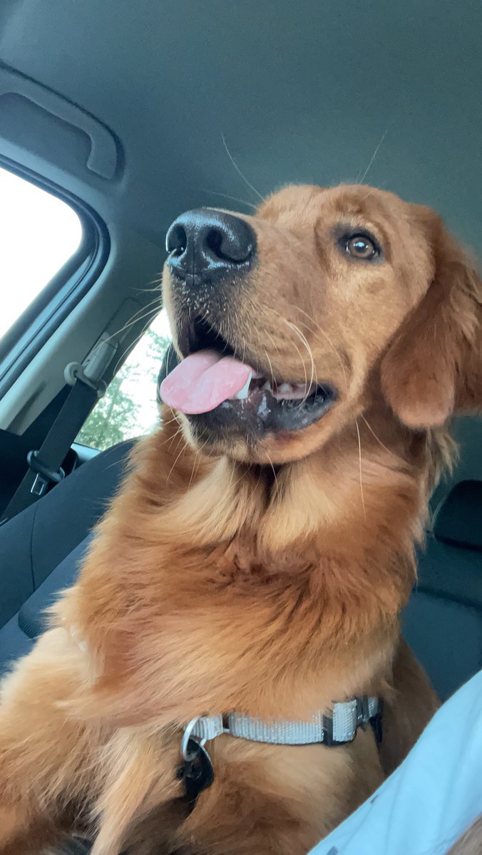 emtorresv's tweet photo. Barto’s 8 months old update: https://t.co/e3Rtq53Xn9