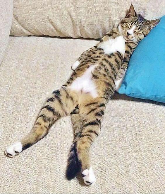 приятно лежать