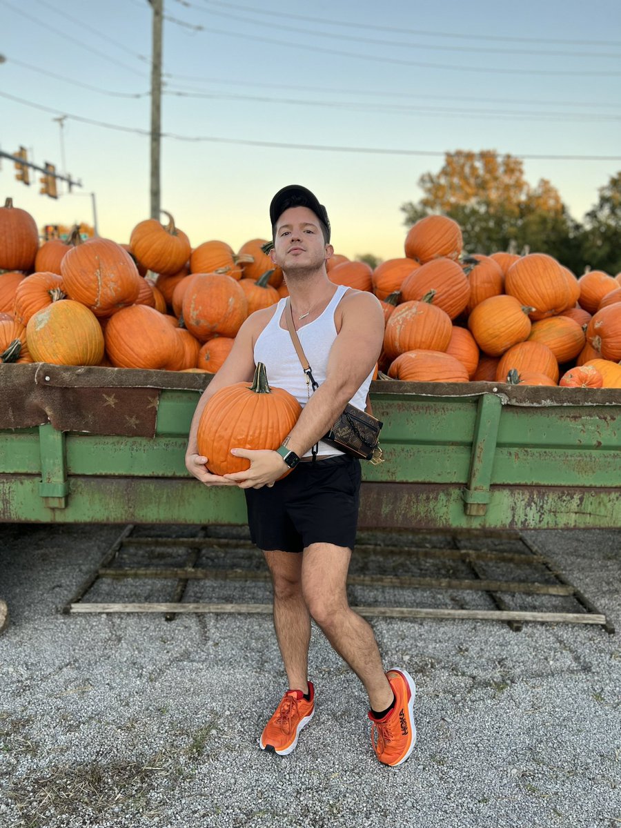 simoncurtis's tweet photo. you know what we are babe? Pumpkin destroyers. https://t.co/Q2OAKeOICz