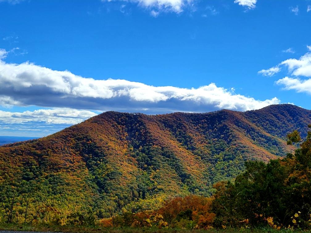JamiePappas27's tweet photo. Happy Halloween from the Blue Ridge Parkway... can't believe all the color for the end of October 🍁🍂🎃 https://t.co/Tn5AwsKXMD