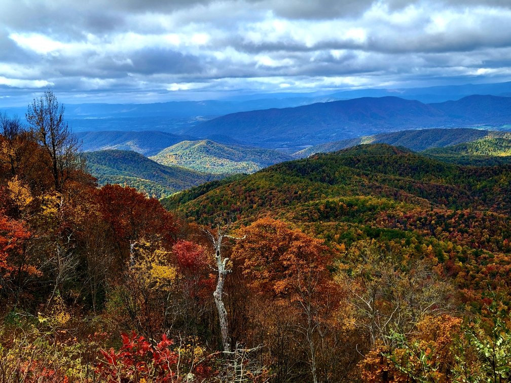 JamiePappas27's tweet photo. Happy Halloween from the Blue Ridge Parkway... can't believe all the color for the end of October 🍁🍂🎃 https://t.co/Tn5AwsKXMD