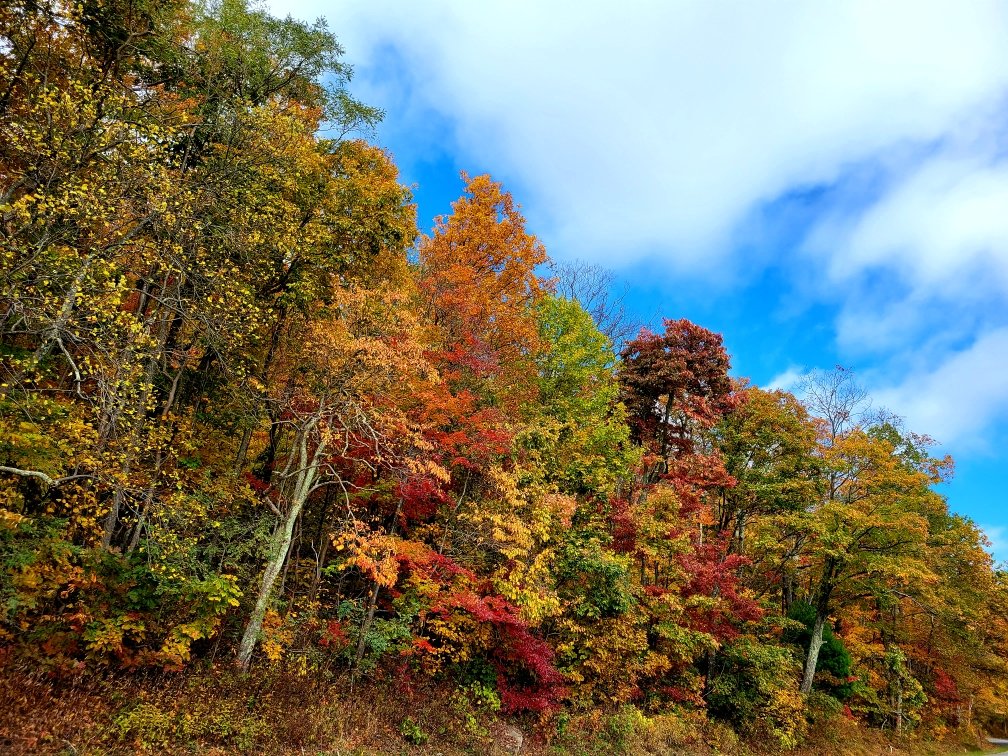 JamiePappas27's tweet photo. Happy Halloween from the Blue Ridge Parkway... can't believe all the color for the end of October 🍁🍂🎃 https://t.co/Tn5AwsKXMD