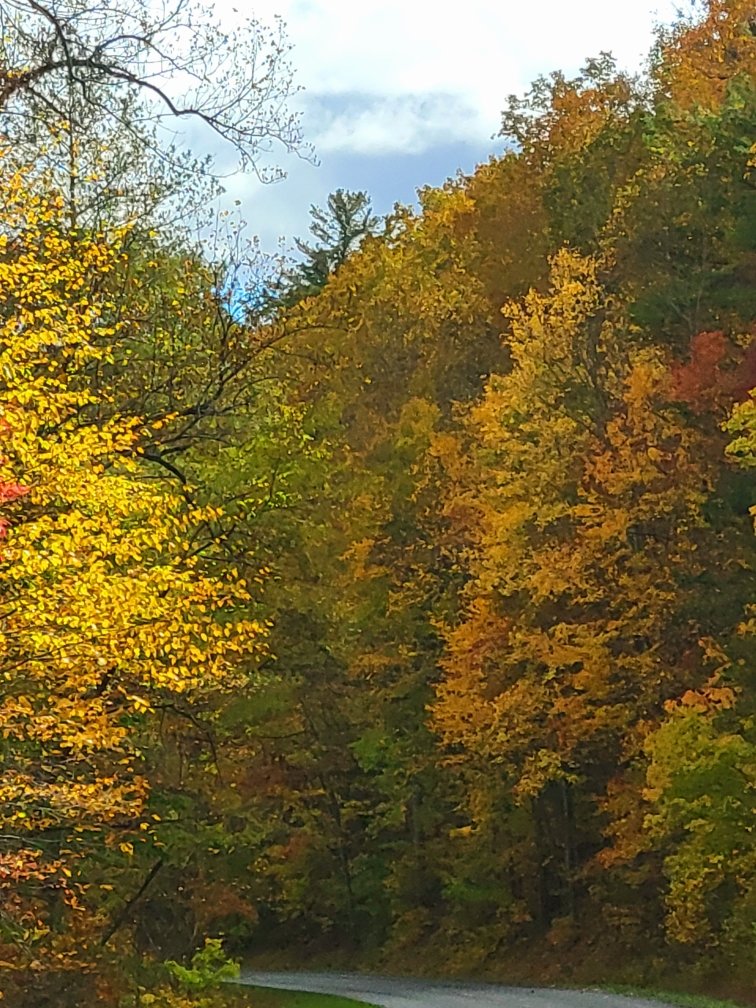 JamiePappas27's tweet photo. Happy Halloween from the Blue Ridge Parkway... can't believe all the color for the end of October 🍁🍂🎃 https://t.co/Tn5AwsKXMD